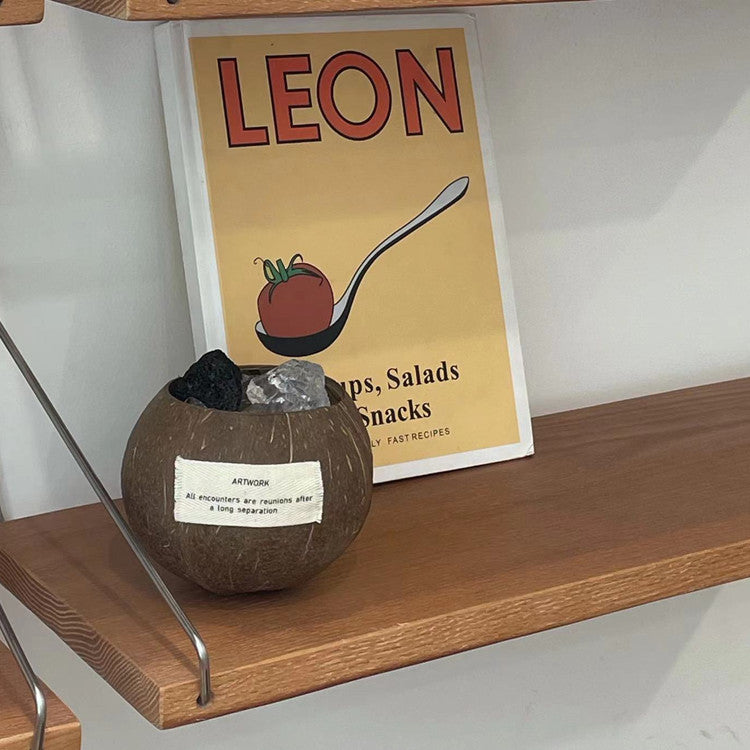 Coconut Shell Aroma Stones Diffuser | 60-Day Long-Lasting Essential Oil Set