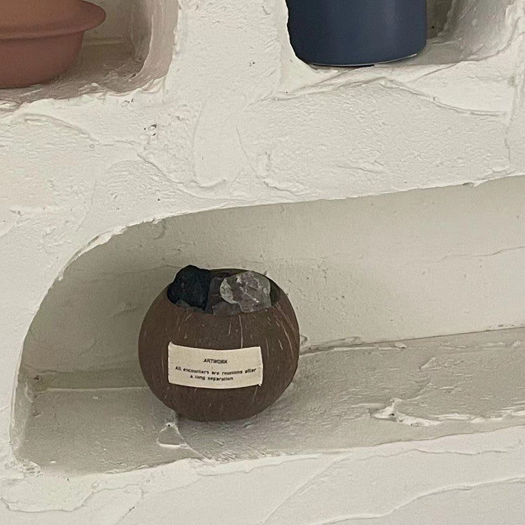 Coconut Shell Aroma Stones Diffuser | 60-Day Long-Lasting Essential Oil Set