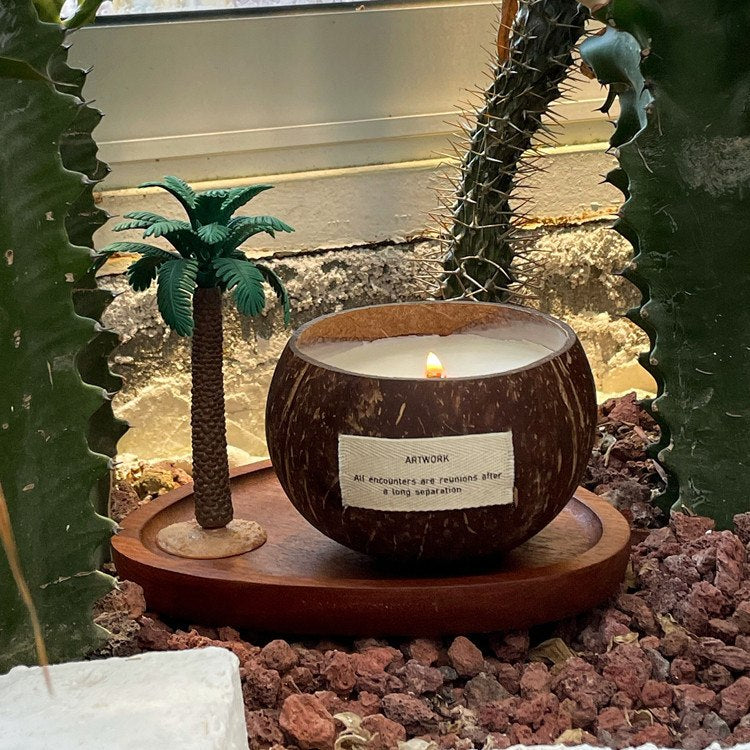 Coconut Shell Candle with Palm Tree | Soy Wax Wood Wick for Desk Decor