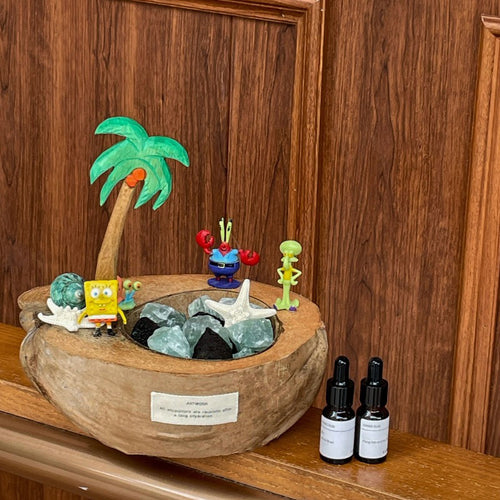 Coconut Boat Aroma Stone Diffuser | Sponge & Starfish Decor