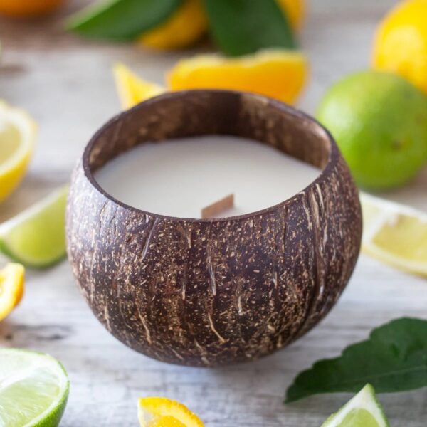 Tropical Orange Scent Coconut Candle Custom Gifts - Image 3