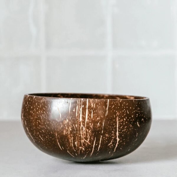 Coconut Bowl Medium Size